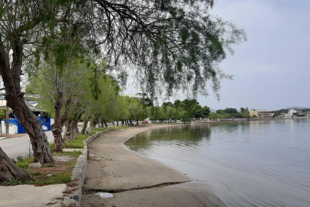 Πολυτελές Διαμέρισμα 2 Χαλκίδα-Παραλία Αυλίδος Paralia Avlidhos Exterior photo